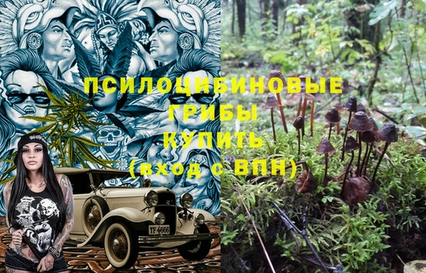 шишки Балабаново