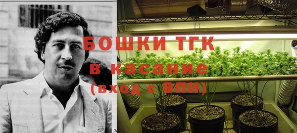 шишки Балабаново